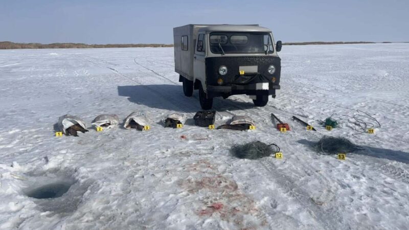 Браконьерлер құрықталды