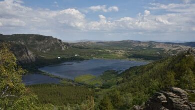 Сурет облыс әкімдігі сайтынан